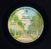 TURK VINYL ALBUMs of Bora CETIN Collection